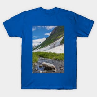 USA. Alaska. Stream with Rocks. T-Shirt